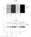 Fig. 05 - Image processing apparatus and density correction method