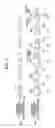 Fig. 02 - Electrophotographic apparatus and process cartridge