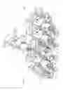 Fig. 13 - Image-forming device having mechanism for separating developing rollers from photosensitive drums