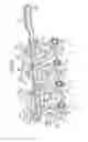 Fig. 24 - Image-forming device having mechanism for separating developing rollers from photosensitive drums