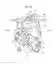 Fig. 31 - Image-forming device having mechanism for separating developing rollers from photosensitive drums
