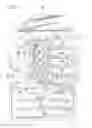 Fig. 02 - Image forming apparatus with steering roller and position control mechanism