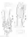 Fig. 20 - Multi-pivot latch assemblies