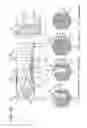 Fig. 14 - Cutting tool for boring