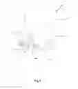Fig. 08 - MATERIAL COLLECTION BODY
