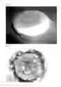 Fig. 13 - Method for recovering metal from target and method for manufacturing target