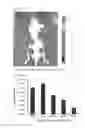 Fig. 04 - FLUORESCENT SILICA NANOPARTICLES FOR DETECTING LYMPH NODE AND THE IDENTIFICATION METHOD OF LYMPH NODE USING THEREOF