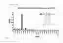 Fig. 08 - FLUORESCENT SILICA NANOPARTICLES FOR DETECTING LYMPH NODE AND THE IDENTIFICATION METHOD OF LYMPH NODE USING THEREOF