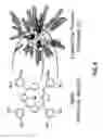 Fig. 11 - Star polymers, methods of preparation thereof, and uses thereof