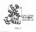 Fig. 04 - HEME-BINDING PHOTOACTIVE POLYPEPTIDES AND METHODS OF USE THEREOF