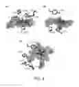 Fig. 05 - HEME-BINDING PHOTOACTIVE POLYPEPTIDES AND METHODS OF USE THEREOF