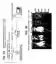 Fig. 05 - MODELS OF ERYTHROPOIESIS