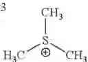 Fig. 28 - Hydroxylated contrast enhancement agents and imaging method