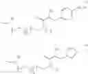 Fig. 09 - Modified polymers for delivery of polynucleotides, method of manufacture, and methods of use thereof