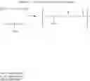 Fig. 50 - Biodegradable polymer—bioactive moiety conjugates