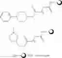 Fig. 94 - Biodegradable polymer—bioactive moiety conjugates