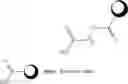 Fig. 99 - Biodegradable polymer—bioactive moiety conjugates