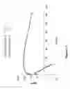 Fig. 14 - IL-7 fusion proteins