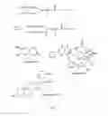 Fig. 06 - Y-SHAPE BRANCHED HYDROPHILIC POLYMER DERIVATIVES, THEIR PREPARATION METHODS, CONJUGATES OF THE DERIVATIVES AND DRUG MOLECULES, AND PHARMACEUTICAL COMPOSITIONS COMPRISING THE CONJUGATES