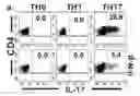 Fig. 01 - Markers for determination of patient responsiveness