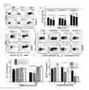 Fig. 02 - Markers for determination of patient responsiveness
