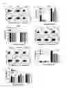 Fig. 03 - Markers for determination of patient responsiveness