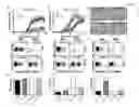 Fig. 04 - Markers for determination of patient responsiveness