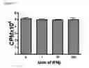 Fig. 07 - Markers for determination of patient responsiveness