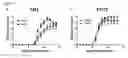 Fig. 16 - Markers for determination of patient responsiveness