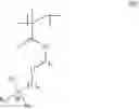 Fig. 09 - MODIFICATION OF NUCLEIC ACID VECTORS WITH POLYMERS COMPRISING CHARGED QUATERNARY AMINO GROUPS