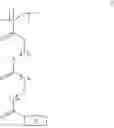 Fig. 12 - MODIFICATION OF NUCLEIC ACID VECTORS WITH POLYMERS COMPRISING CHARGED QUATERNARY AMINO GROUPS