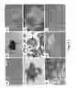 Fig. 02 - SOMATIC CELL-DERIVED PLURIPOTENT CELLS AND METHODS OF USE THEREFOR