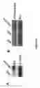 Fig. 05 - SOMATIC CELL-DERIVED PLURIPOTENT CELLS AND METHODS OF USE THEREFOR