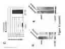 Fig. 16 - SOMATIC CELL-DERIVED PLURIPOTENT CELLS AND METHODS OF USE THEREFOR