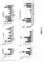 Fig. 19 - SOMATIC CELL-DERIVED PLURIPOTENT CELLS AND METHODS OF USE THEREFOR