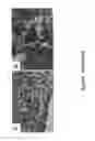 Fig. 25 - SOMATIC CELL-DERIVED PLURIPOTENT CELLS AND METHODS OF USE THEREFOR