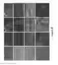 Fig. 37 - SOMATIC CELL-DERIVED PLURIPOTENT CELLS AND METHODS OF USE THEREFOR