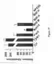 Fig. 40 - SOMATIC CELL-DERIVED PLURIPOTENT CELLS AND METHODS OF USE THEREFOR