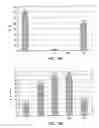 Fig. 03 - Cell therapy for the treatment of lysosomal storage disorders
