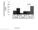 Fig. 07 - Method for treating or preventing a pancreatic dysfunction
