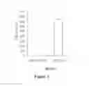 Fig. 08 - RNA INTERFERENCE TARGET FOR TREATING AIDS