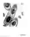 Fig. 04 - STRAIN OF HIGHLY MOSQUITOCIDAL BACILLUS