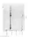 Fig. 22 - Compositions and Methods for Treating Collagen-Mediated Diseases