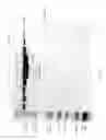 Fig. 48 - Compositions and Methods for Treating Collagen-Mediated Diseases