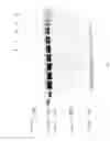Fig. 04 - Compositions and Methods for Treating Collagen-Mediated Diseases