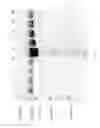 Fig. 29 - Compositions and Methods for Treating Collagen-Mediated Diseases