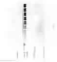 Fig. 66 - Compositions and Methods for Treating Collagen-Mediated Diseases