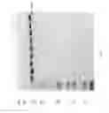 Fig. 81 - Compositions and Methods for Treating Collagen-Mediated Diseases