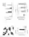 Fig. 08 - Method for the preventing and/or treating IL-1 beta lung pathology in mammals by administering a uric acid reducing compound