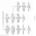 Fig. 74 - Compositions and Methods for Treating Collagen-Mediated Diseases